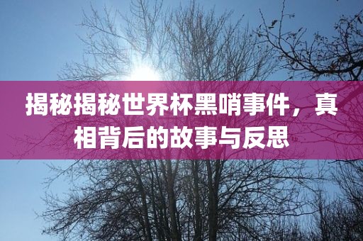 揭秘揭秘世界杯黑哨事件，真相背后的故事与反思