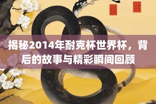 揭秘2014年耐克杯世界杯，背后的故事与精彩瞬间回顾