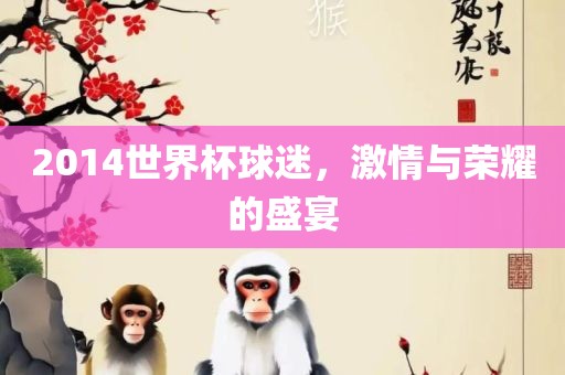 2014世界杯球迷，激情与荣耀的盛宴