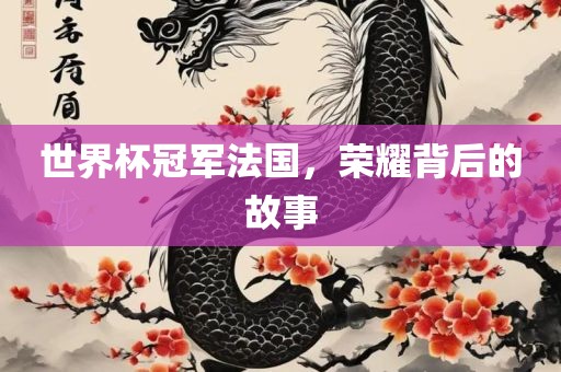 世界杯冠军法国，荣耀背后的故事
