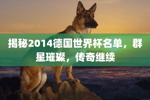 揭秘2014德国世界杯名单，群星璀璨，传奇继续