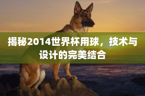 揭秘2014世界杯用球，技术与设计的完美结合