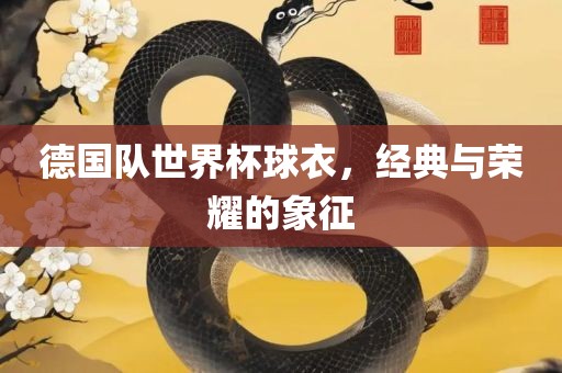 德国队世界杯球衣，经典与荣耀的象征