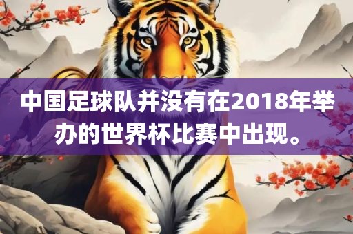 中国足球队并没有在2018年举办的世界杯比赛中出现。