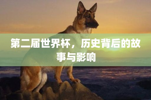 第二届世界杯，历史背后的故事与影响