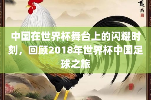中国在世界杯舞台上的闪耀时刻，回顾2018年世界杯中国足球之旅