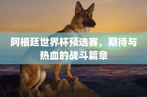 阿根廷世界杯预选赛，期待与热血的战斗篇章