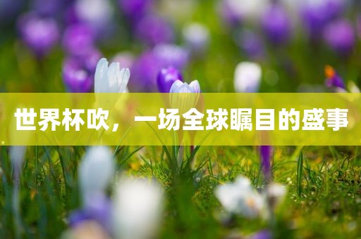 世界杯吹，一场全球瞩目的盛事