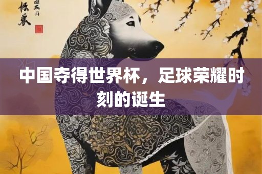 中国夺得世界杯，足球荣耀时刻的诞生