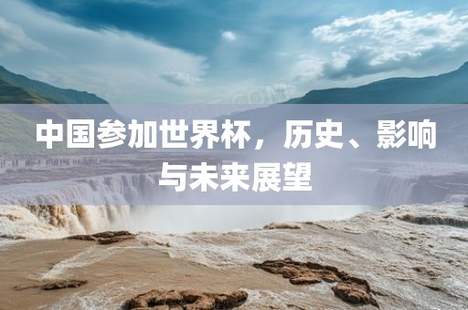 中国参加世界杯，历史、影响与未来展望金炬实业股份有限公司