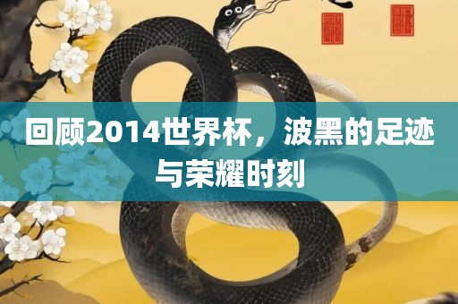 回顾2014世界杯，波黑的足迹与荣耀时刻