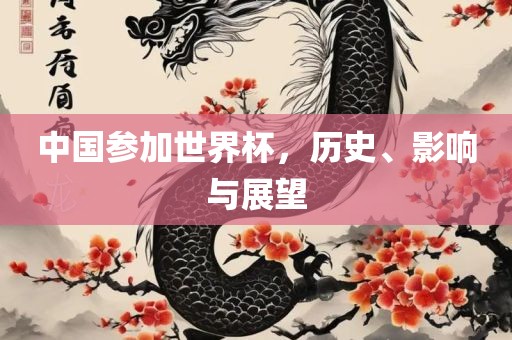 中国参加世界杯，历史、影响与展望金炬实业股份有限公司