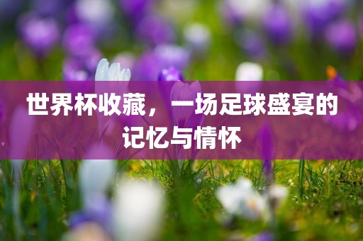 世界杯收藏，一场足球盛宴的记忆与情怀