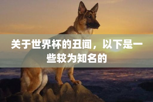 关于世界杯的丑闻，以下是一些较为知名的