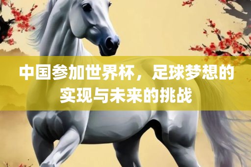 中国参加世界杯，足球梦想的实金炬实业股份有限公司现与未来的挑战