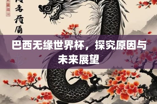 巴西无缘世界杯，探究原因与未来展望