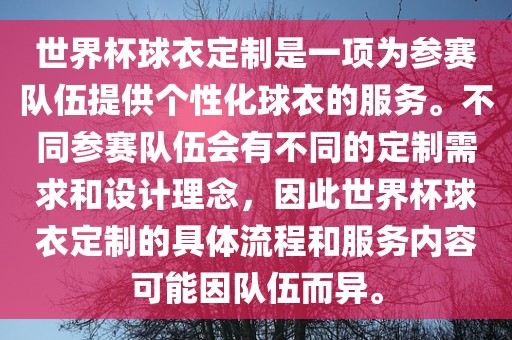世界杯球衣定制是一项为参赛队伍提供个性化球衣的服务。不同参赛队伍会有不同的定制需求和设计理念，因此世界杯球衣定制的具体流程和服务内容可能因队伍而异。