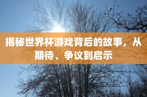 揭秘世界杯游戏背后的故事，从期待、争议到启示