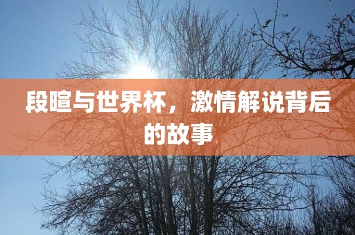 段暄与世界杯，激情解说背后的故事