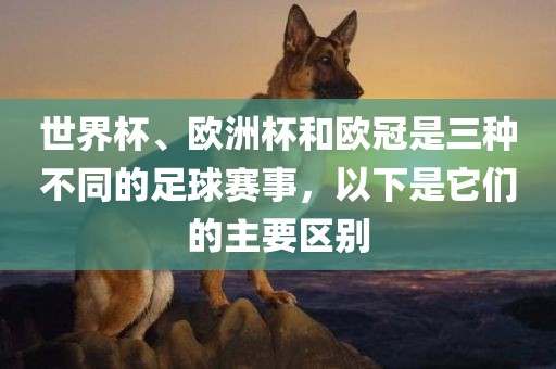 世界杯、欧洲杯和欧冠是三种不同的足球赛事，以下是它们的主要区别