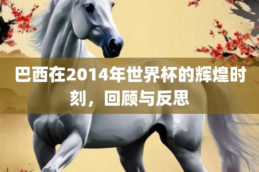 巴西在2014年世界杯的辉煌时刻，回顾与反思