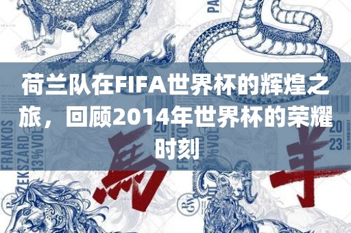 荷兰队在FIFA世界杯的辉煌之旅，回顾2014年世界杯的荣耀时刻