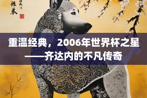 重温经典，2006年世界杯之星——齐达内的不凡传奇