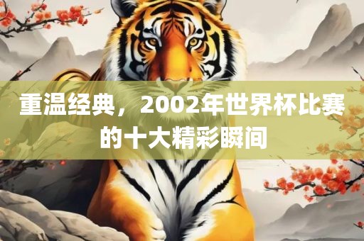重温经典，2002年世界杯比赛的十大精彩瞬间