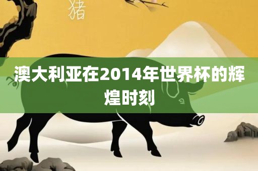 澳大利亚在2014年世界杯的辉煌时刻
