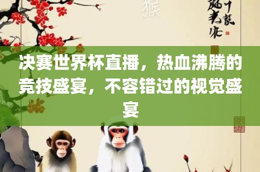决赛世界杯直播，热血沸腾的竞技盛宴，不容错过的视觉盛宴