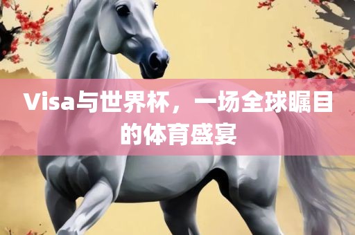 Visa与世界杯，一场全球瞩目的体育盛宴