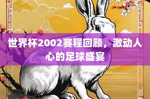 世界杯2002赛程回顾，激动人心的足球盛宴