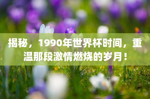 揭秘，1990年世界杯时间，重温那段激情燃烧的岁月！