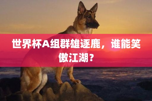 zhaoyajun 第12页