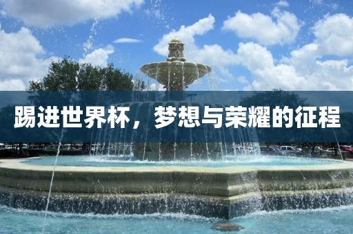 踢进世界杯，梦想与荣耀的征程
