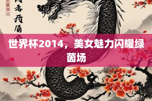 世界杯2014，美女魅力闪耀绿茵场