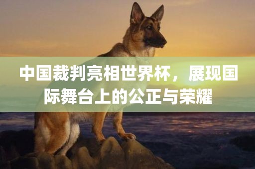 中国裁判亮相世界杯，展现国际舞台上的公正与荣耀