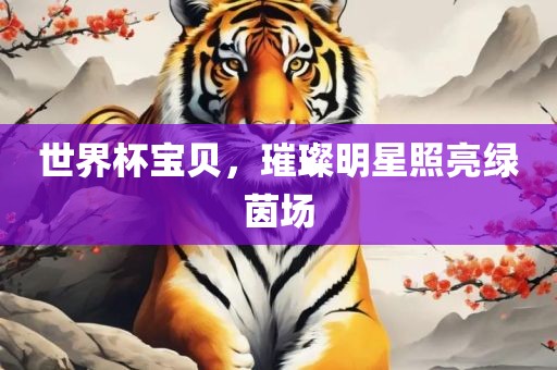 世界杯宝贝，璀璨明星金炬实业股份有限公司照亮绿茵场