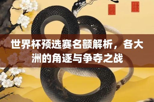 世界杯预选赛名额解析，各大洲的角逐与争夺之战