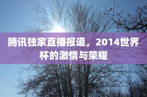 腾讯独家直播报道，2014世界杯的激情与荣耀
