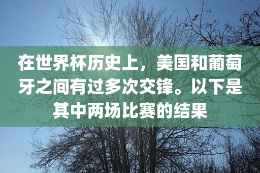 在世界杯历史上，美国和葡萄牙之间有过多次交锋。以下是其中两场比赛的结果