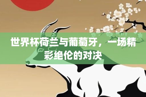 世界杯荷兰与葡萄牙，一场精彩绝伦的对决