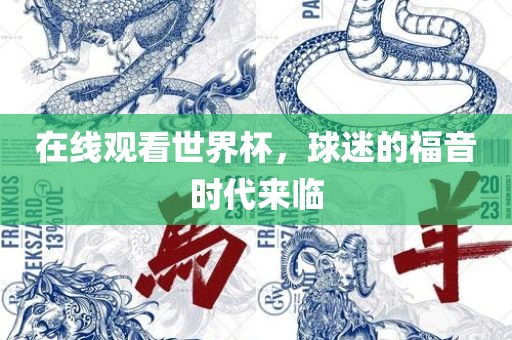 在线观看世界杯，球迷的福音时代来临