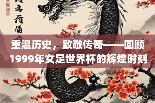 重温历史，致敬传奇——回顾1999年女足世界杯的辉煌时刻