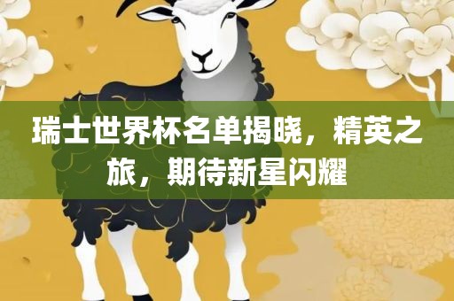 瑞士世界杯名单揭晓，精英之旅，期待新星闪耀