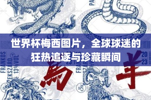 世界杯梅西图片，全球球迷的狂热追逐与珍藏瞬间