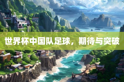 世界杯中国队足球，期待与突破