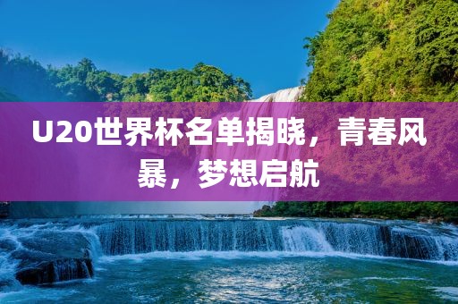 U20世界杯名单揭晓，青春风暴，梦想启航