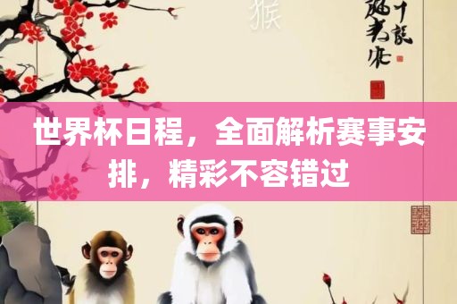 世界杯日程，全面解析赛事安排，精彩不容错过