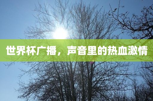 世界杯广播，声音里的热血激情